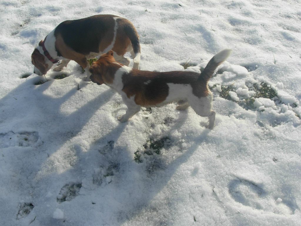 Max e Nike